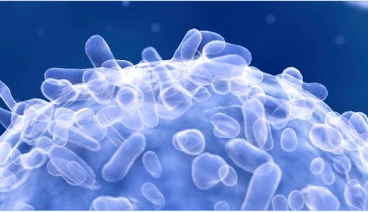 三位杰出醫學腫瘤學家加入基石藥業科學顧問委員會